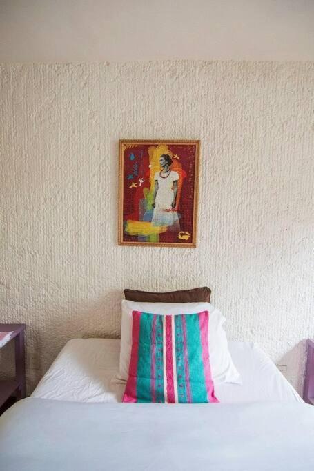 Villa Casa Ayvar. Espectacular Villa Colonial En El Corazon De Coyoacan. 墨西哥城 外观 照片