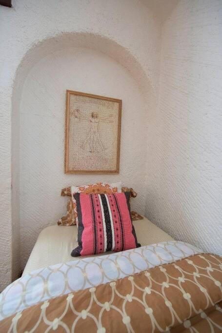 Villa Casa Ayvar. Espectacular Villa Colonial En El Corazon De Coyoacan. 墨西哥城 外观 照片