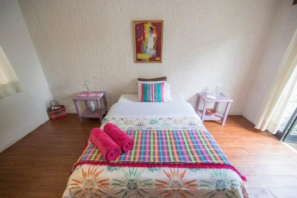 Villa Casa Ayvar. Espectacular Villa Colonial En El Corazon De Coyoacan. 墨西哥城 外观 照片