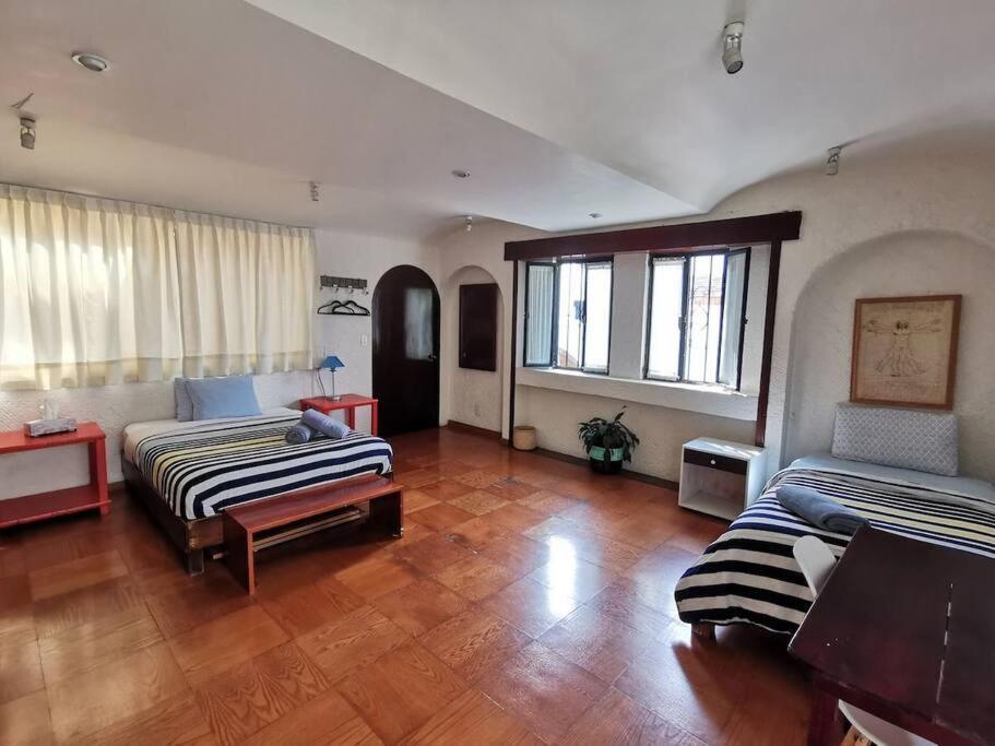 Villa Casa Ayvar. Espectacular Villa Colonial En El Corazon De Coyoacan. 墨西哥城 外观 照片