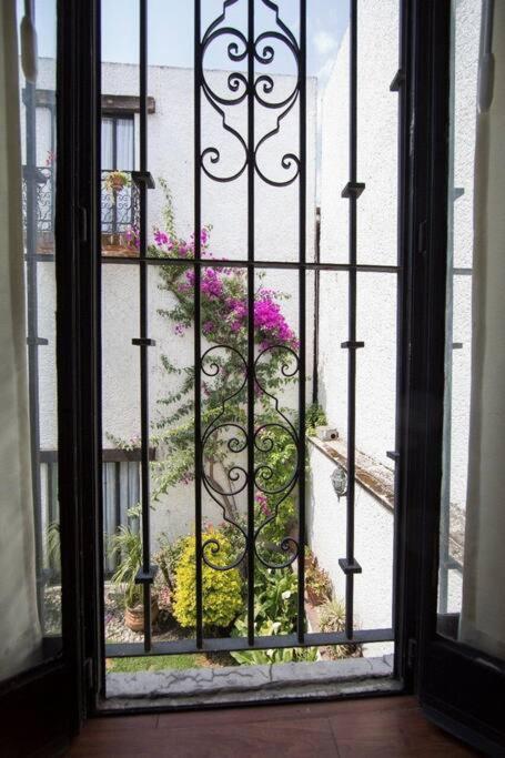 Villa Casa Ayvar. Espectacular Villa Colonial En El Corazon De Coyoacan. 墨西哥城 外观 照片