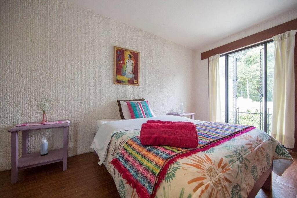 Villa Casa Ayvar. Espectacular Villa Colonial En El Corazon De Coyoacan. 墨西哥城 外观 照片