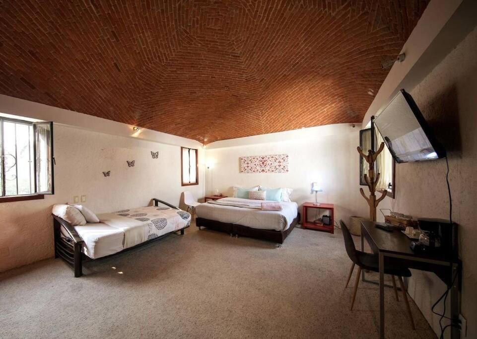 Villa Casa Ayvar. Espectacular Villa Colonial En El Corazon De Coyoacan. 墨西哥城 外观 照片